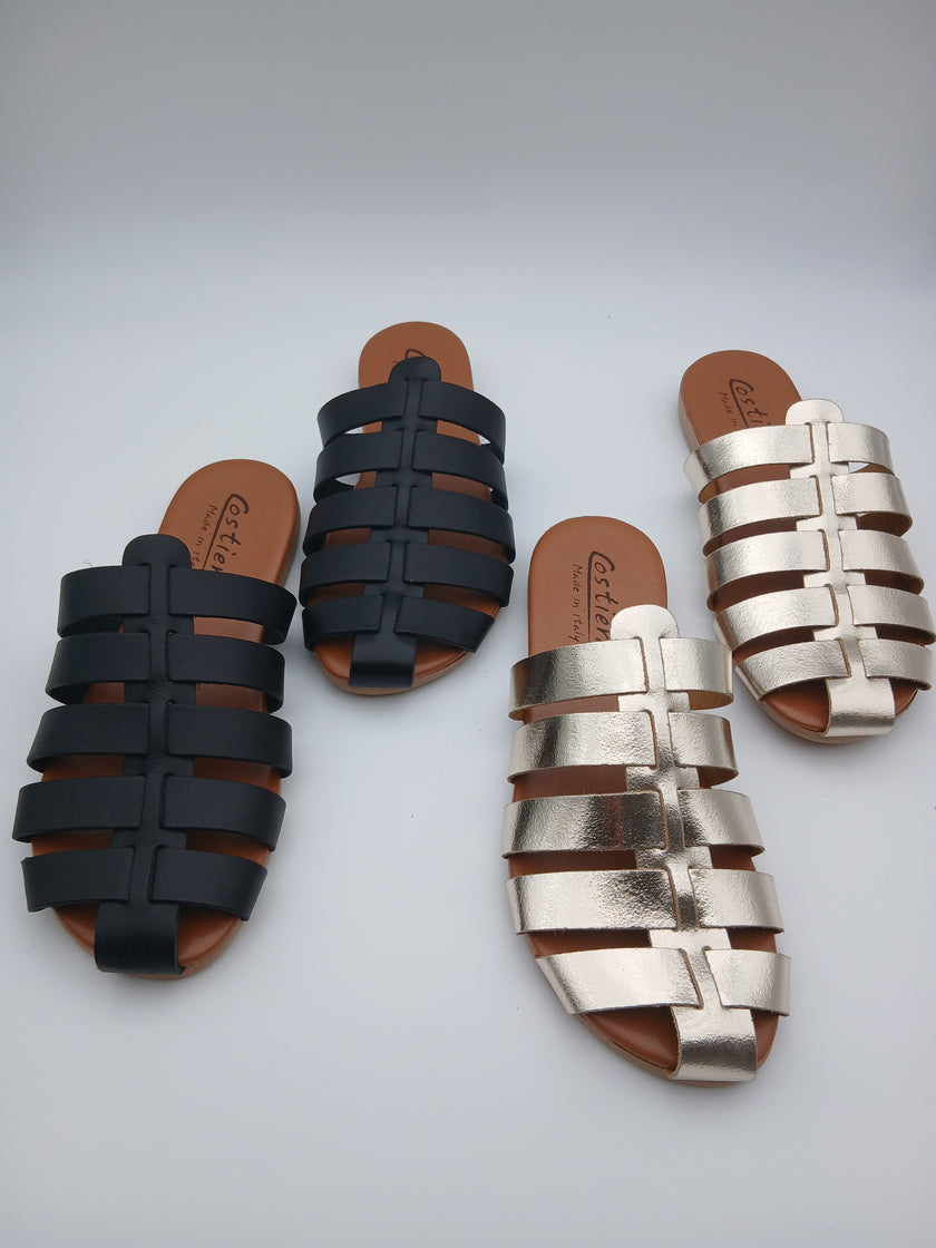 Sabot ragnetto