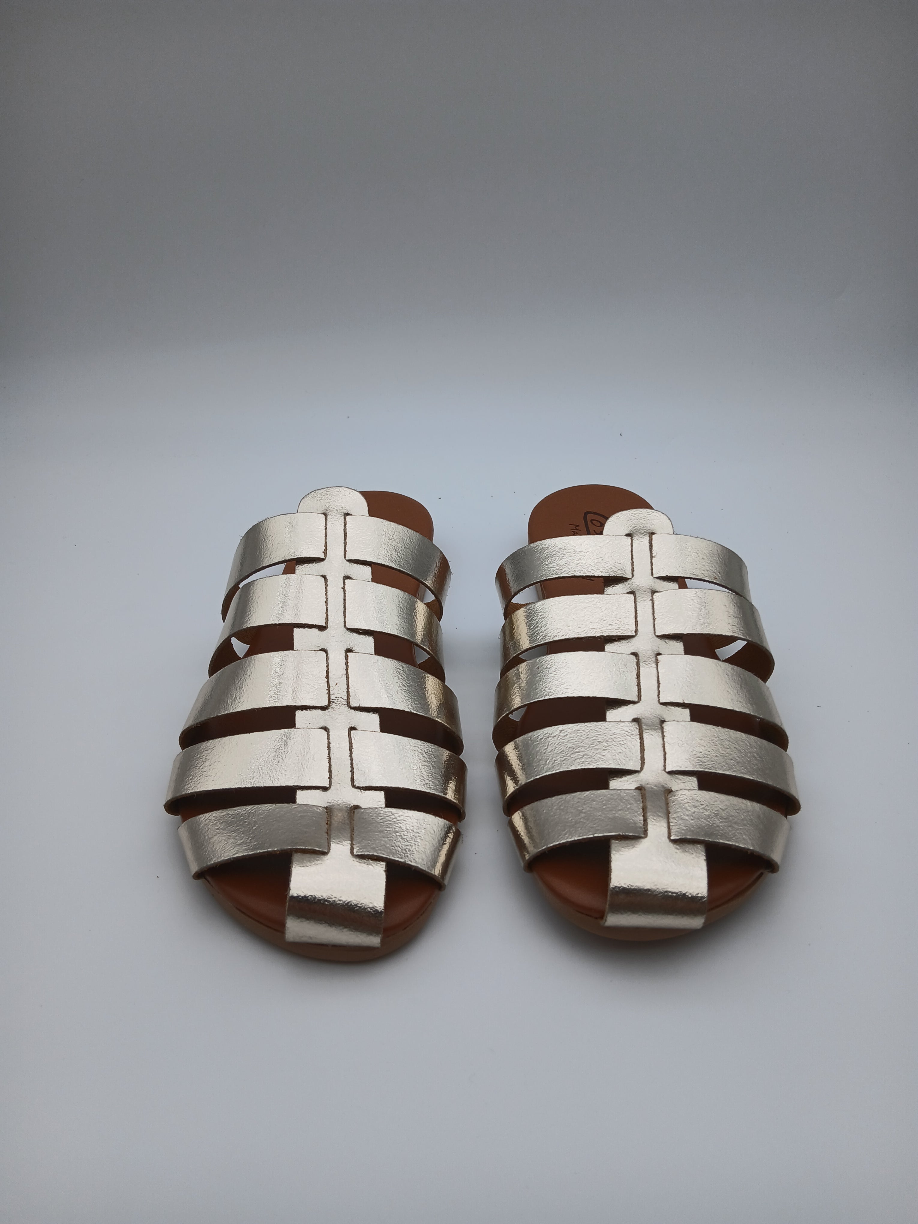 Sabot ragnetto