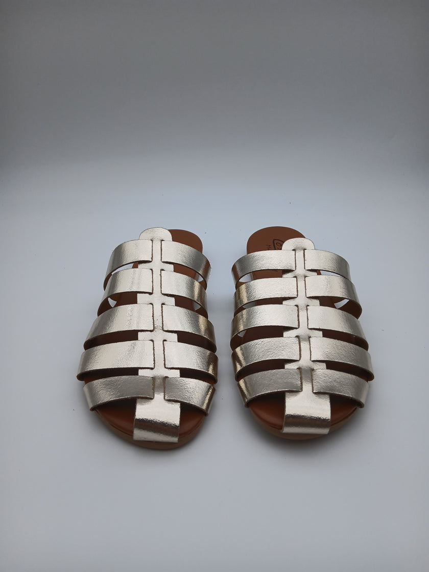 Sabot ragnetto