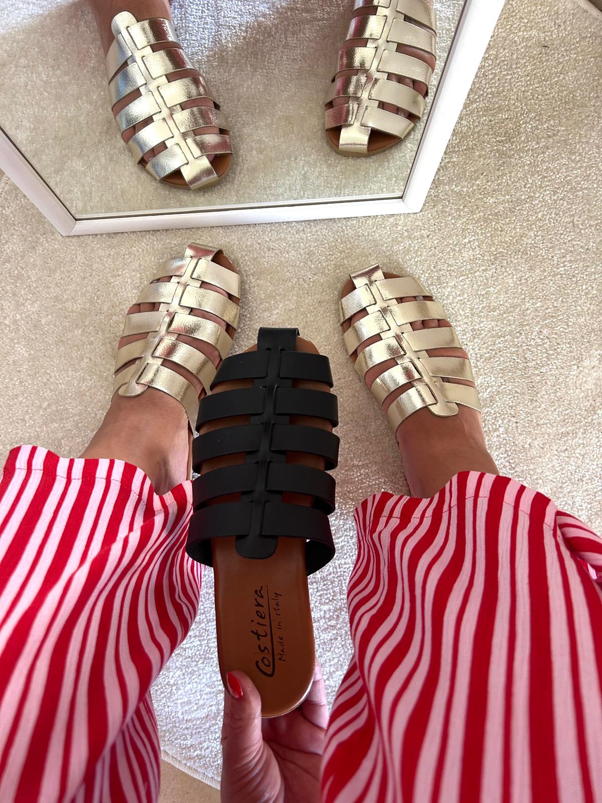 Sabot ragnetto
