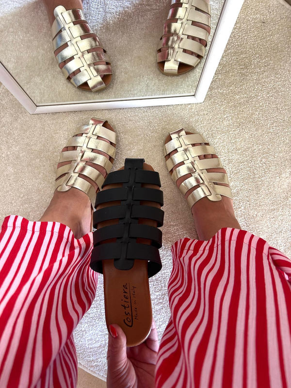 Sabot ragnetto