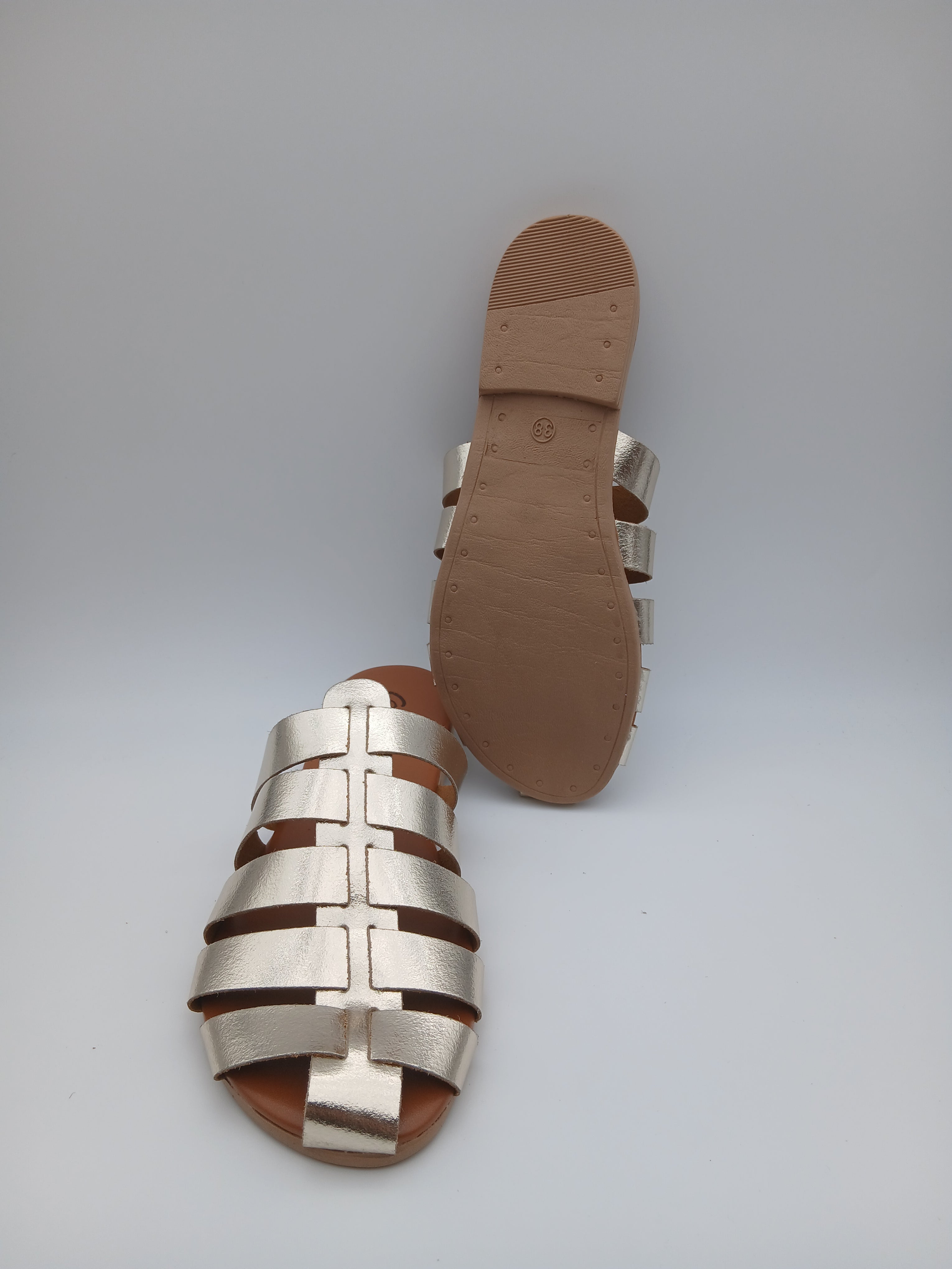 Sabot ragnetto