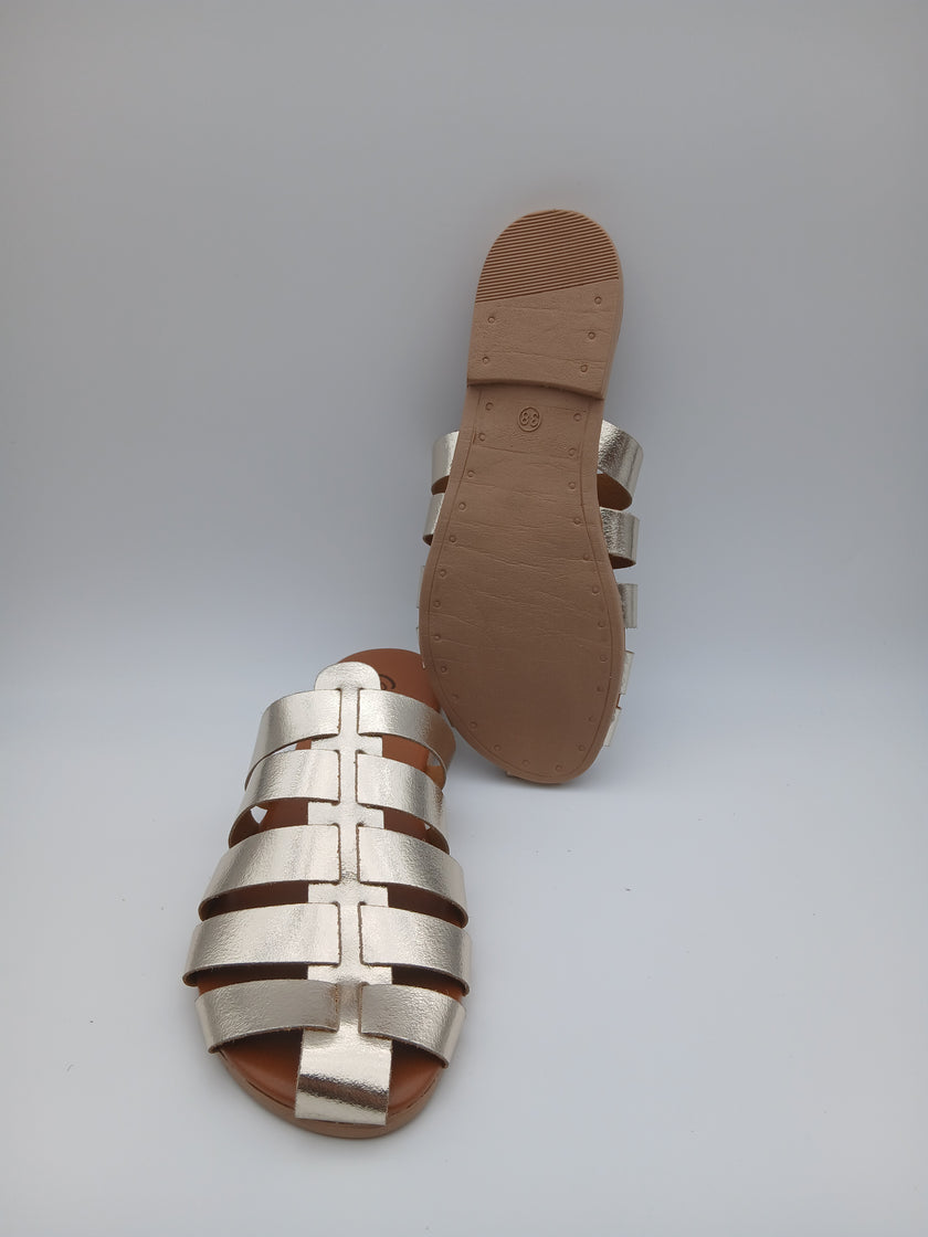 Sabot ragnetto