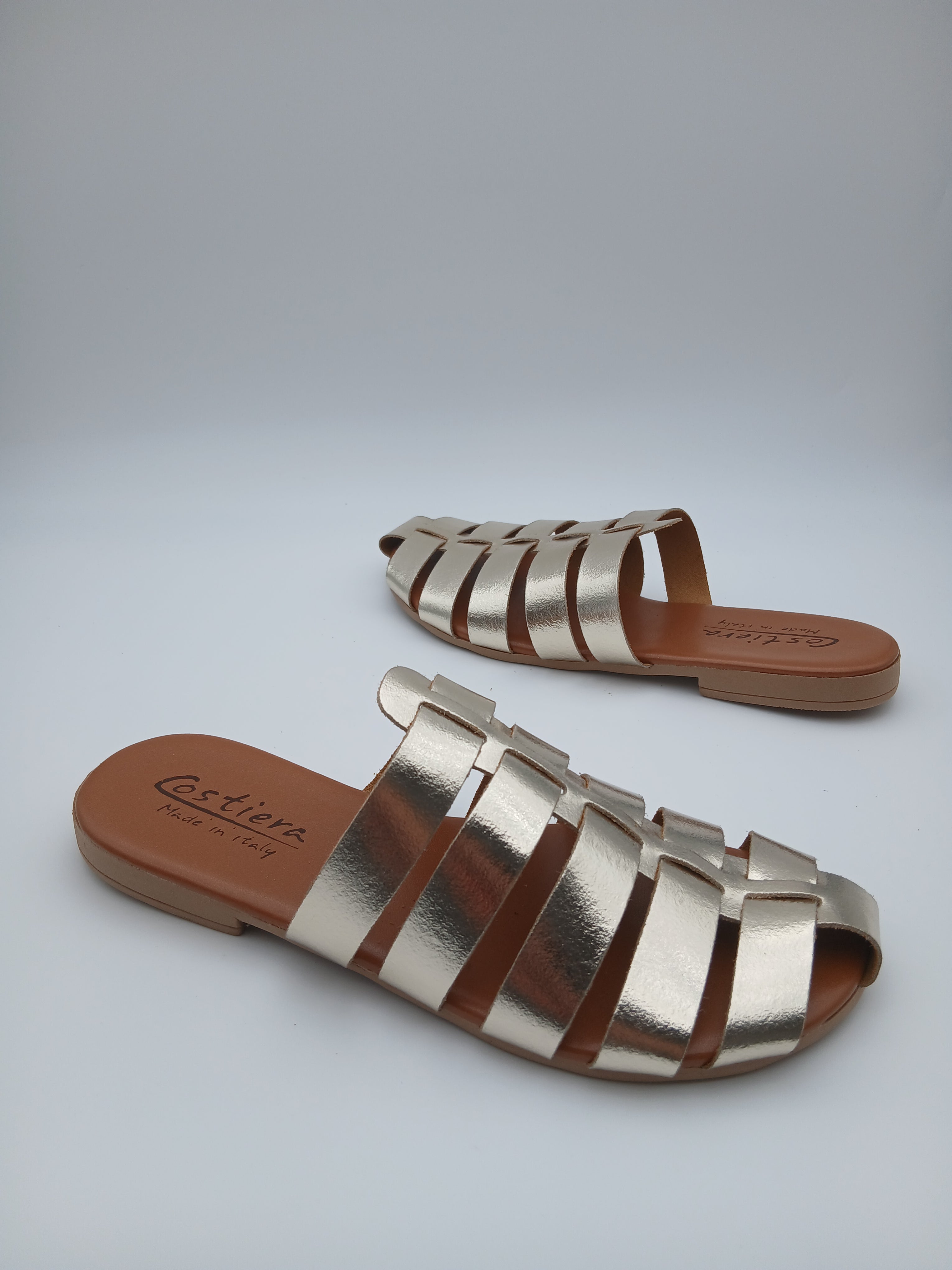 Sabot ragnetto