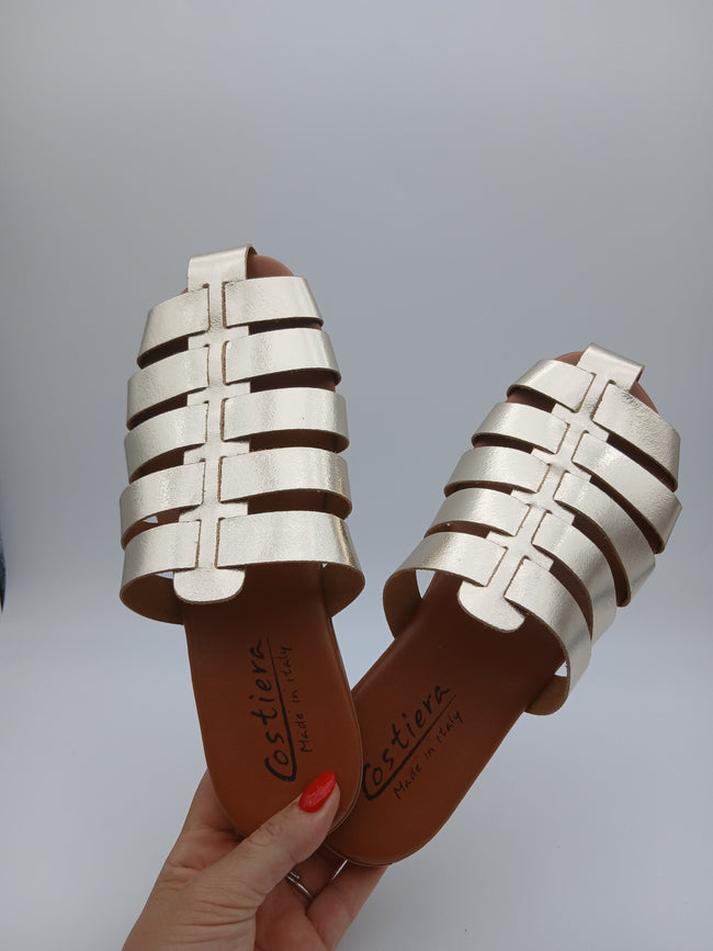 Sabot ragnetto
